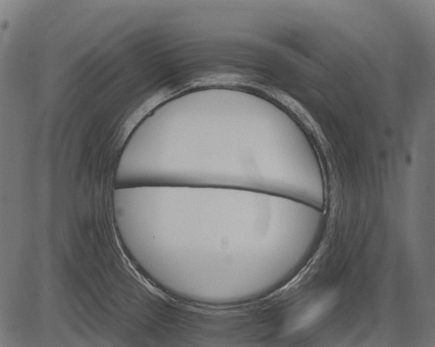 X0000084521337200703091552