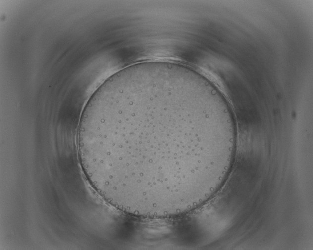 X0000084521338200703091552