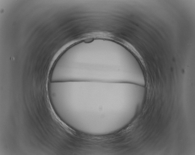 X0000084521339200703091552