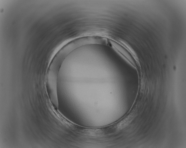 X0000084521340200703091552