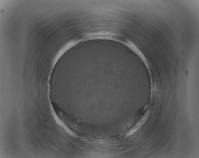 X0000084521341200703091552