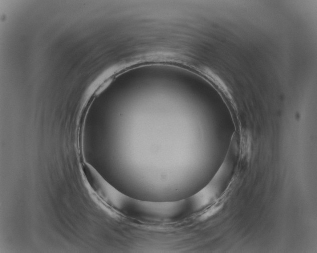 X0000084521342200703091552