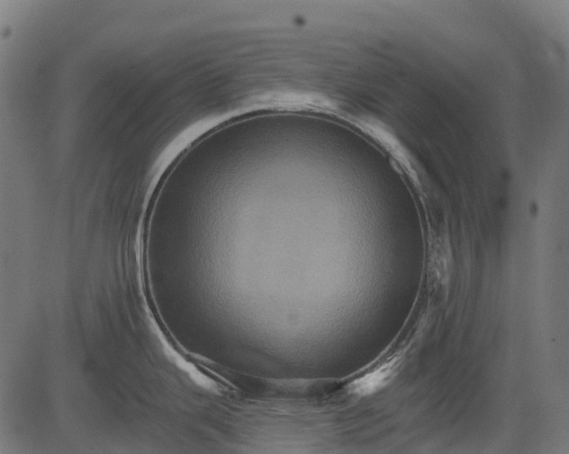 X0000084521343200703091552