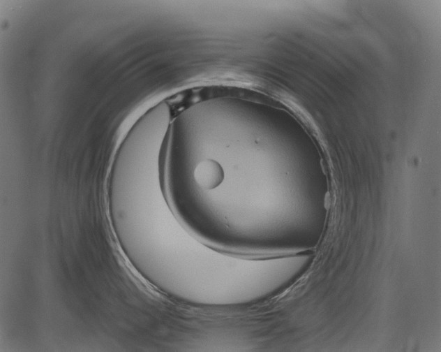 X0000084521344200703091552