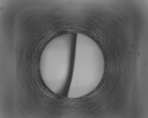 X0000084521345200703091551