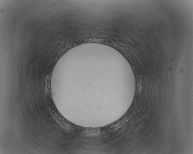 X0000084521346200703091551