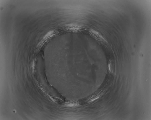 X0000084521347200703091551