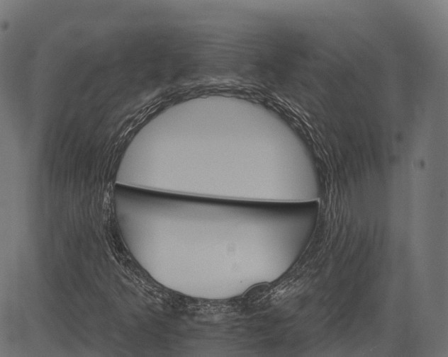 X0000084521349200703091551