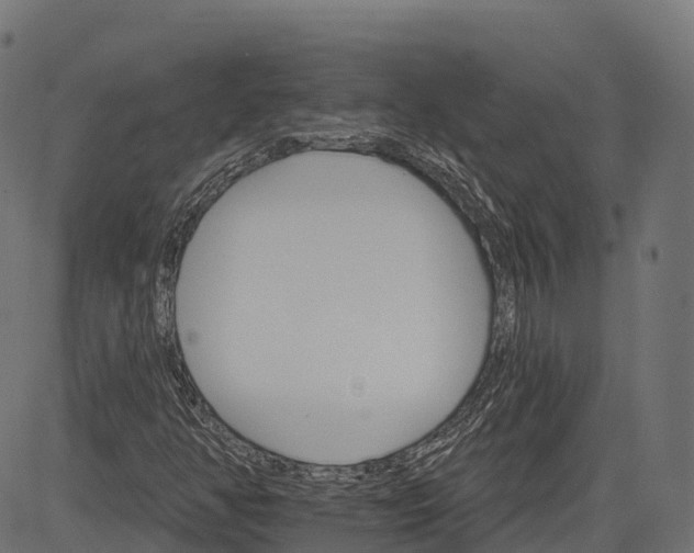 X0000084521350200703091551