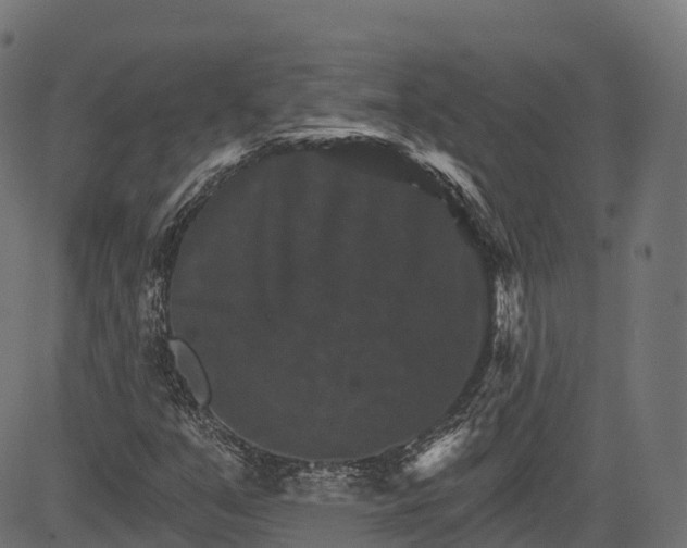 X0000084521351200703091551