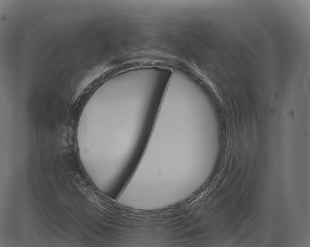 X0000084521352200703091551