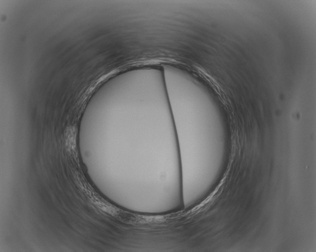 X0000084521353200703091551