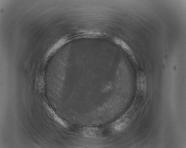 X0000084521354200703091551