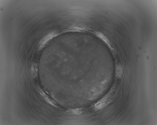 X0000084521355200703091551