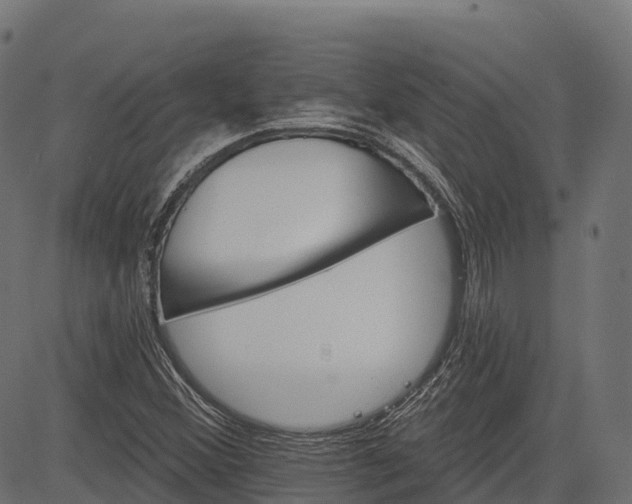 X0000084521356200703091551