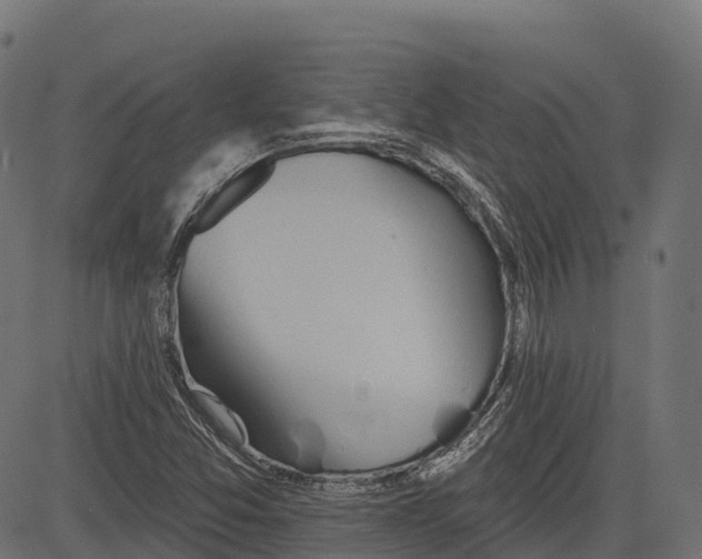 X0000084521357200703091551