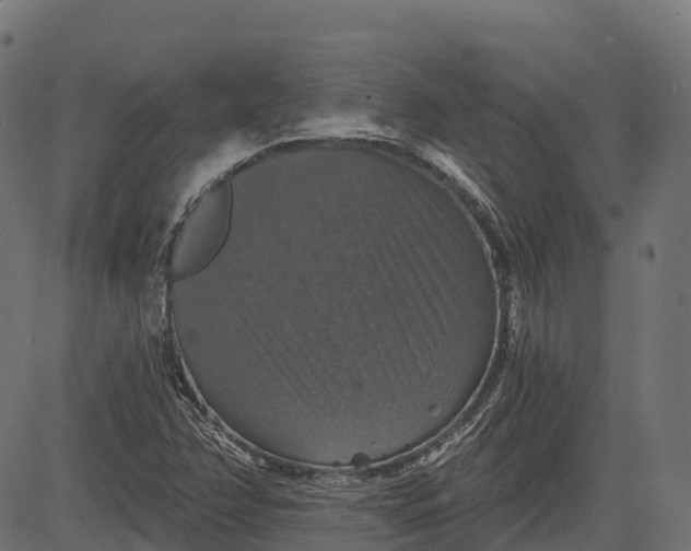 X0000084521358200703091551