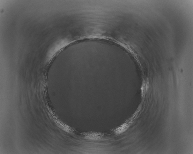 X0000084521359200703091551