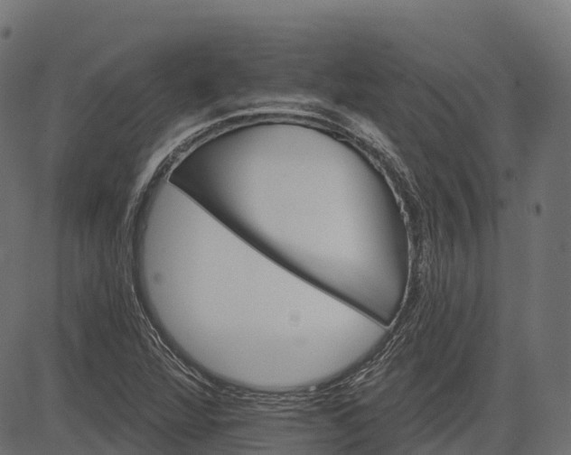 X0000084521360200703091551