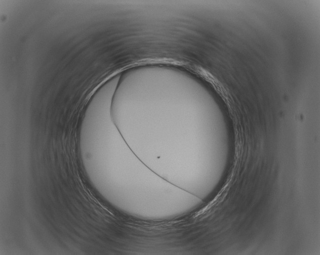 X0000084521361200703091551