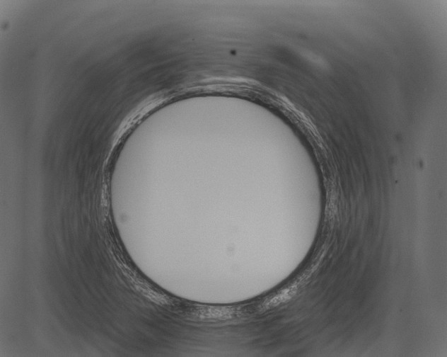 X0000084521362200703091551