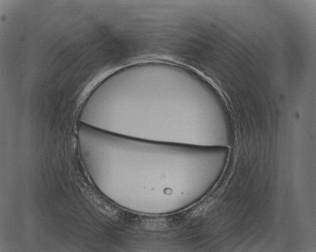 X0000084521363200703091551