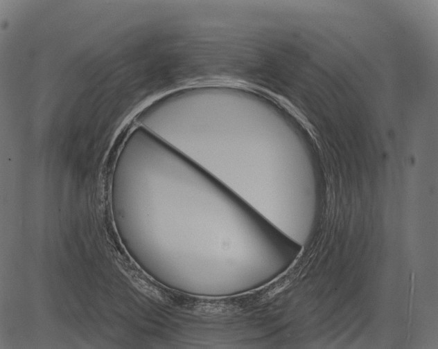 X0000084521364200703091551