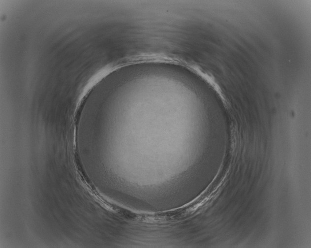 X0000084521365200703091551