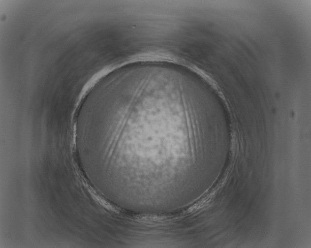 X0000084521366200703091551