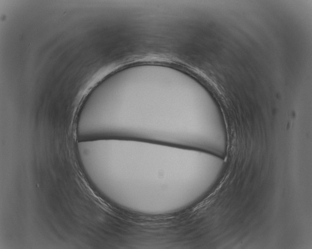 X0000084521367200703091551