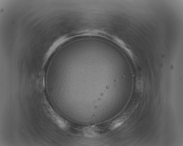 X0000084521368200703091551