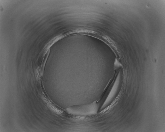 X0000084521369200703091551