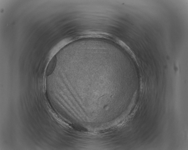 X0000084521370200703091551