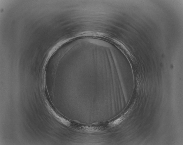 X0000084521371200703091551