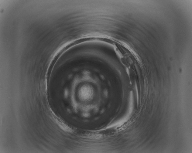 X0000084521372200703091551