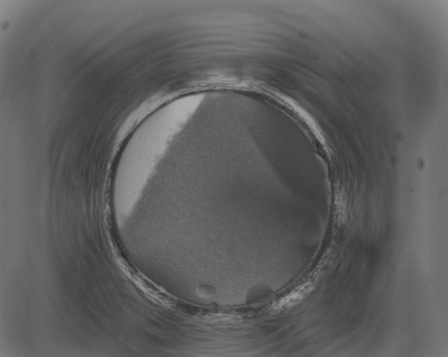 X0000084521373200703091551