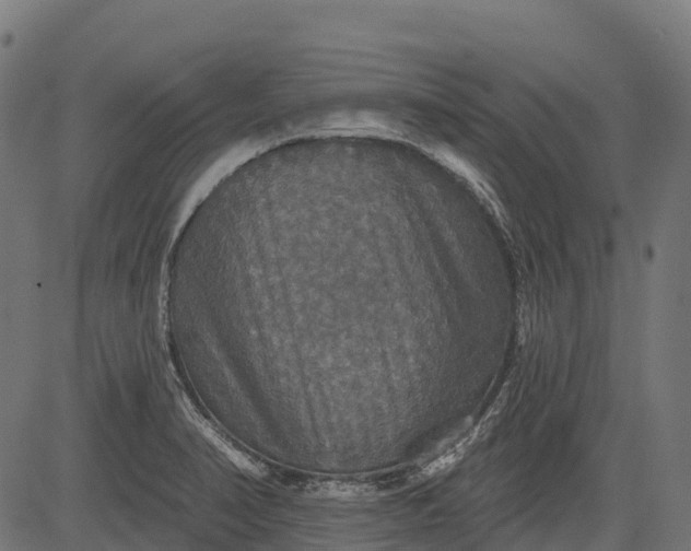 X0000084521374200703091551