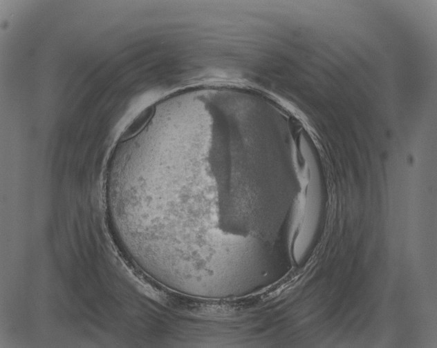 X0000084521375200703091551