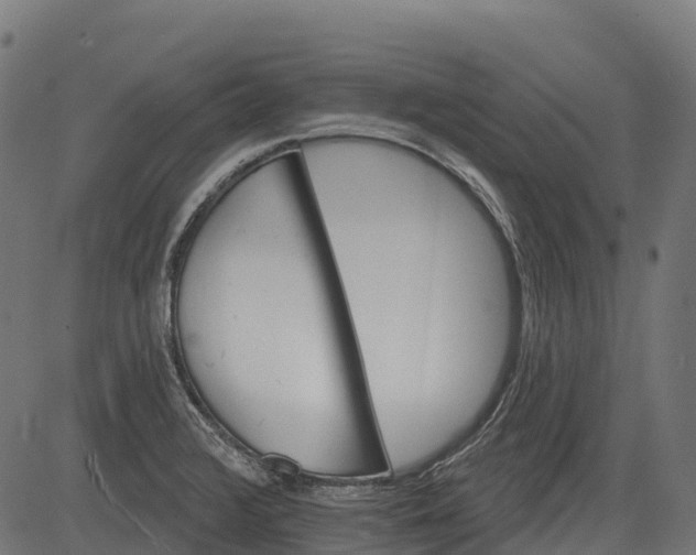 X0000084521376200703091551