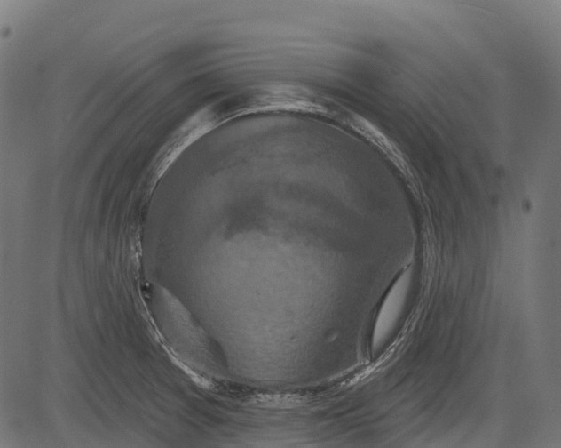 X0000084521377200703091551