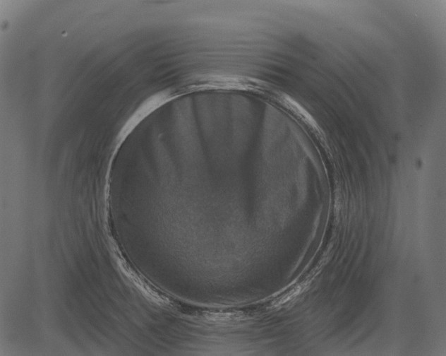 X0000084521378200703091551