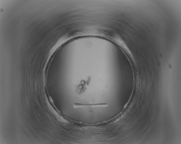 X0000084521380200703091551