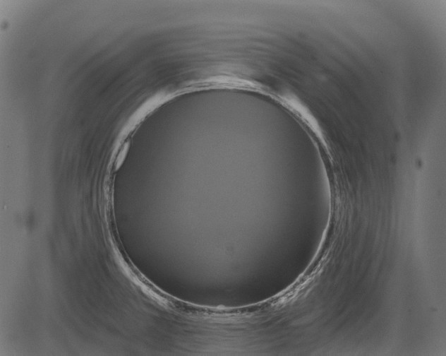 X0000084521381200703091551