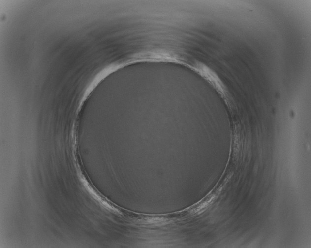 X0000084521382200703091551