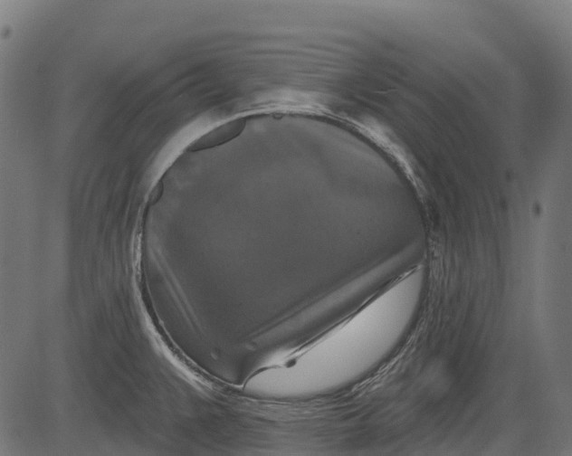 X0000084521383200703091551