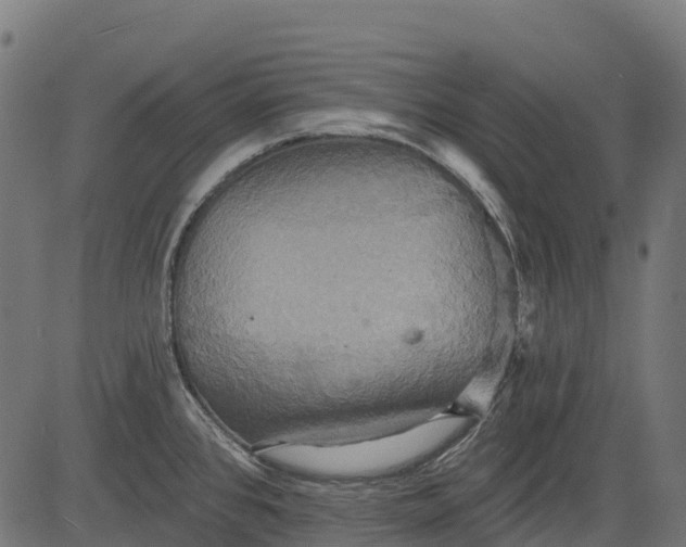 X0000084521384200703091551