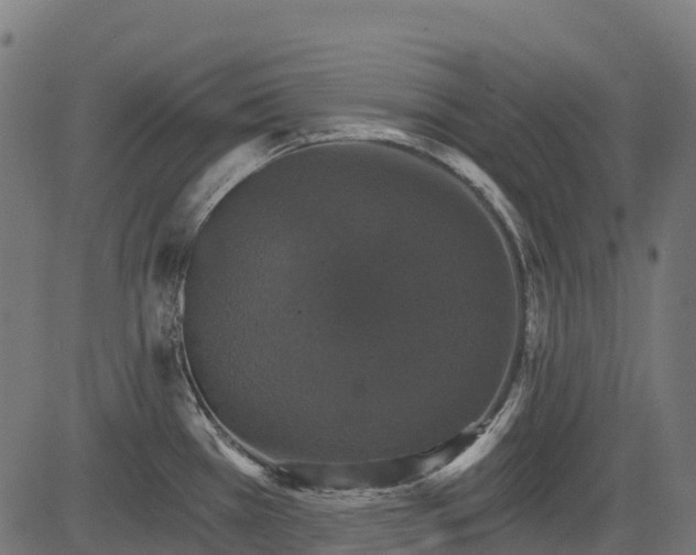 X0000084521385200703091551