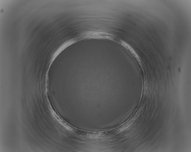 X0000084521386200703091551