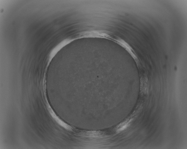 X0000084521387200703091551