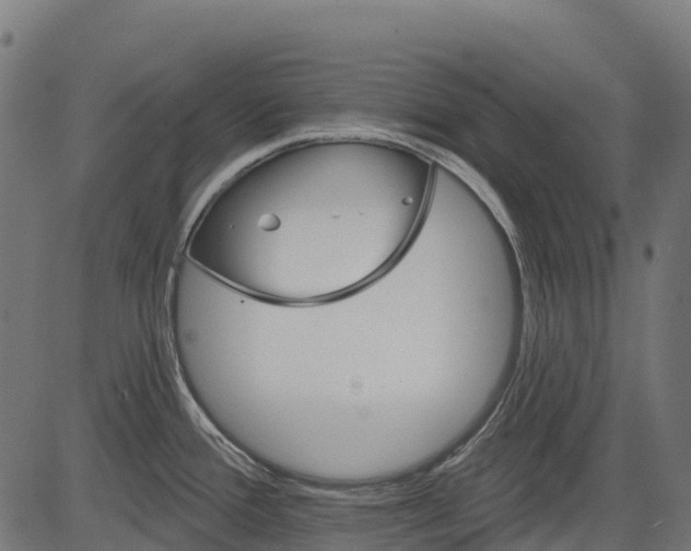 X0000084521388200703091551